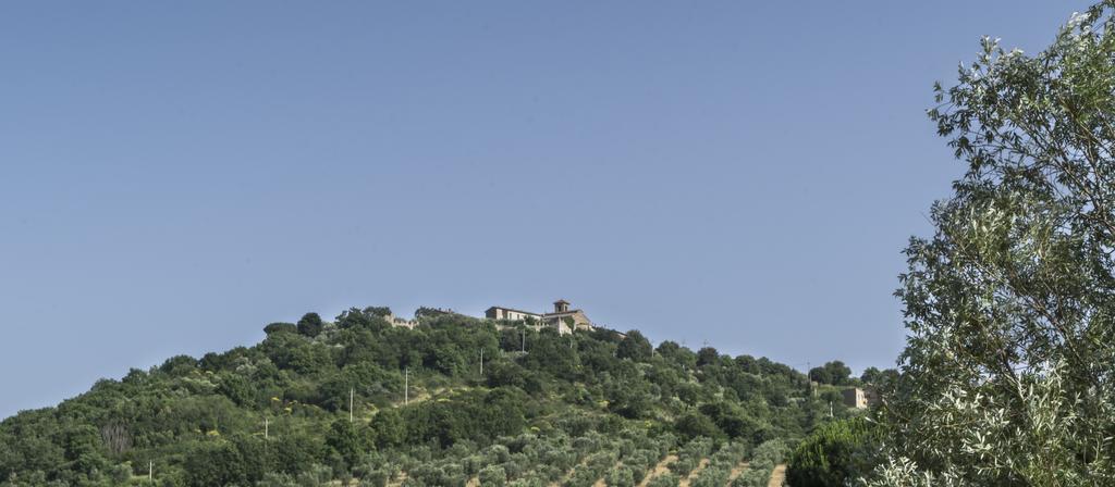 Agriturismo Borgo Spagnoli Маджоне Экстерьер фото